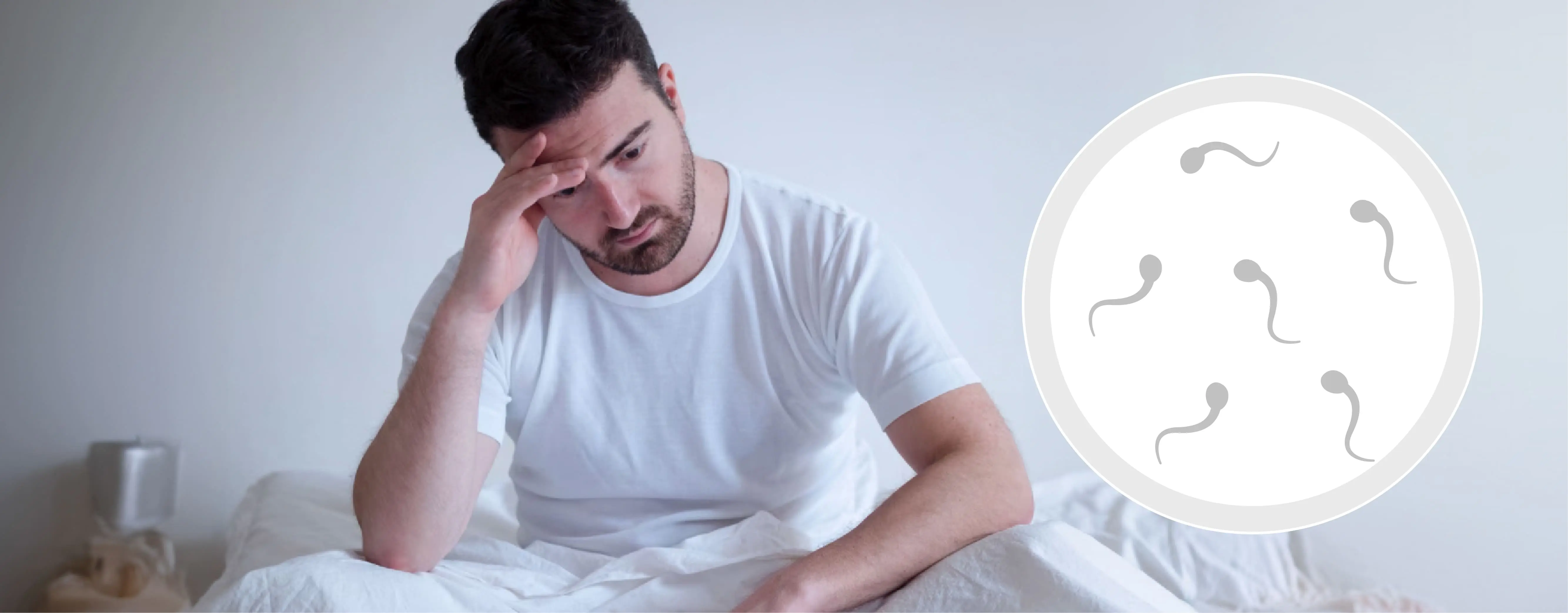 Male Fertility and Sperm Health : Lifestyle Habits That Matter