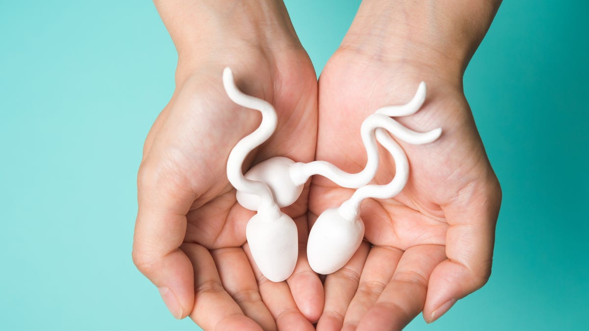 Ways to Support Sperm Health: Healthy Habits for Men
