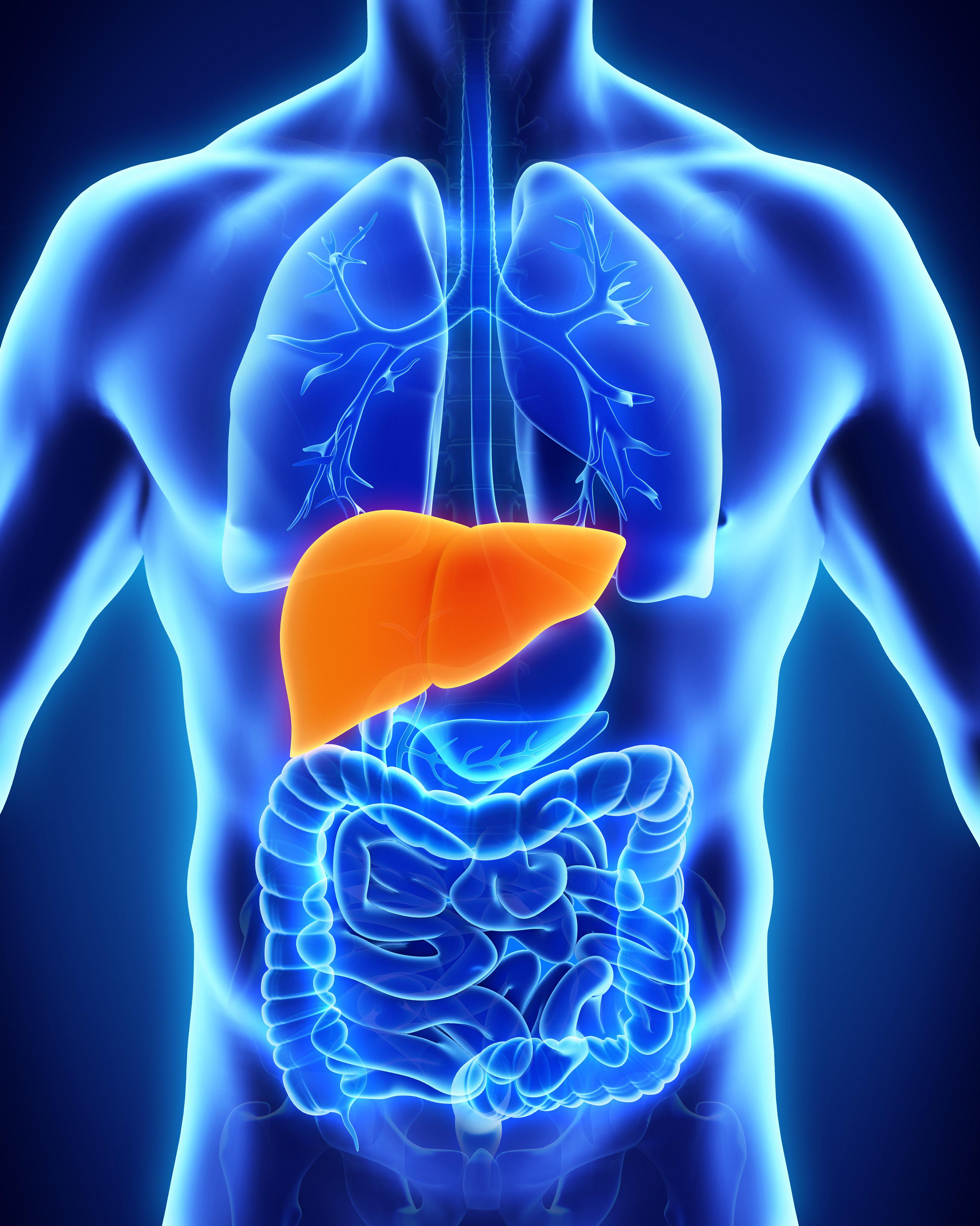 Liver Disease - image 2