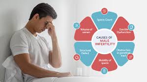 Understanding Male Fertility: Factors That Impact Sperm Health