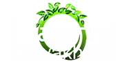 Hashmi Dawakhana