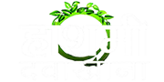 हाशमी दवाखाना
